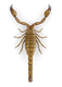 Scorpion Top V